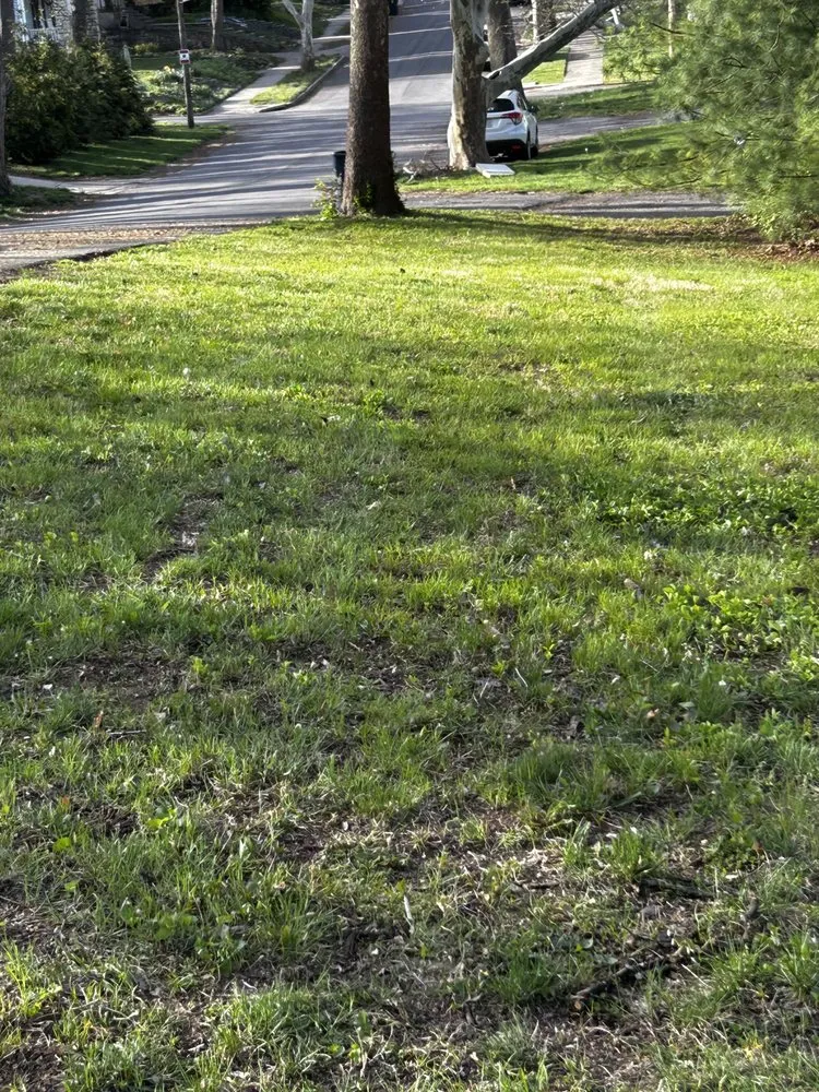 Trusted landscape installation in Kansas City, KS by AP Landscaping