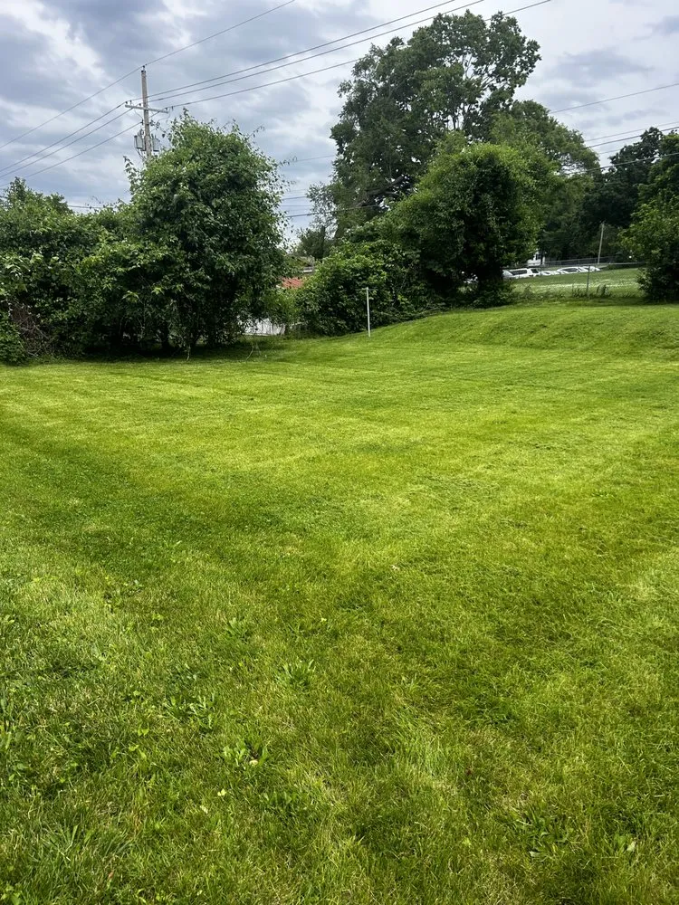 Custom yard cleanup service in Kansas City, KS by AP Landscaping