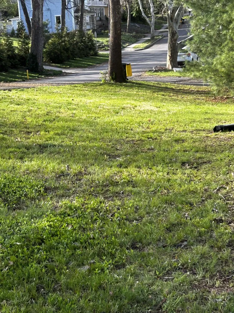 Affordable landscaping services in Kansas City, KS by AP Landscaping