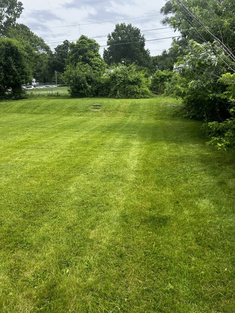 Trusted landscape installation in Kansas City, KS - AP Landscaping