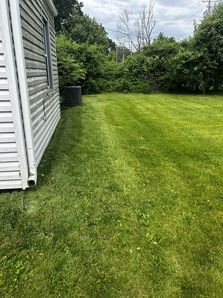 Reliable yard maintenance for residential properties across Kansas City, KS - AP Landscaping