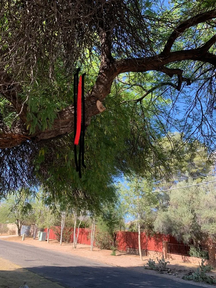 Expert landscape installation experts serving Tucson, AZ - Ap Landscaping