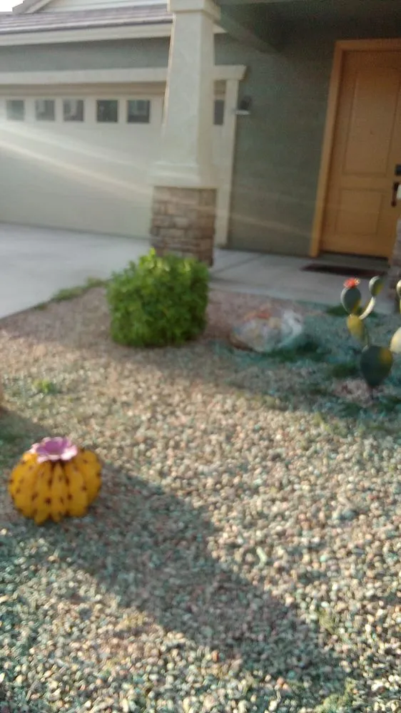 Custom garden landscaping for residential properties across Tucson, AZ - Ap Landscaping
