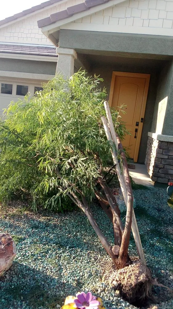 Custom residential landscaping in Tucson, AZ by Ap Landscaping