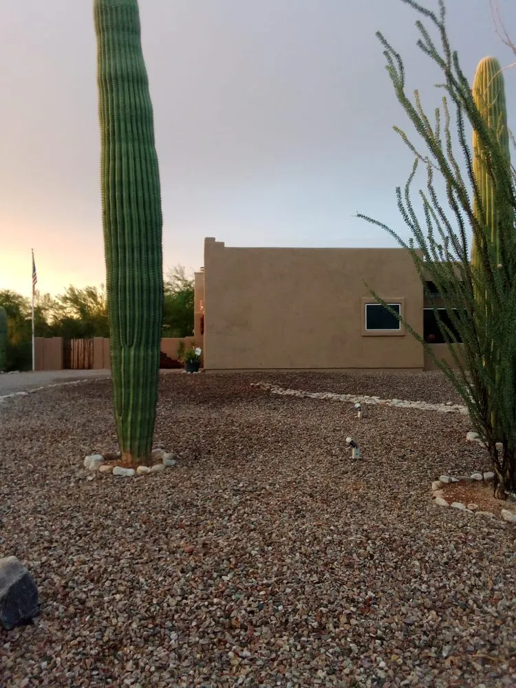 Reliable yard cleanup service experts serving Tucson, AZ - Ap Landscaping