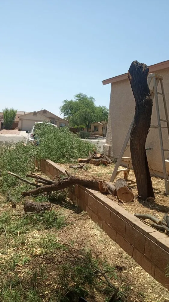 Expert landscaping services in Tucson, AZ - Ap Landscaping