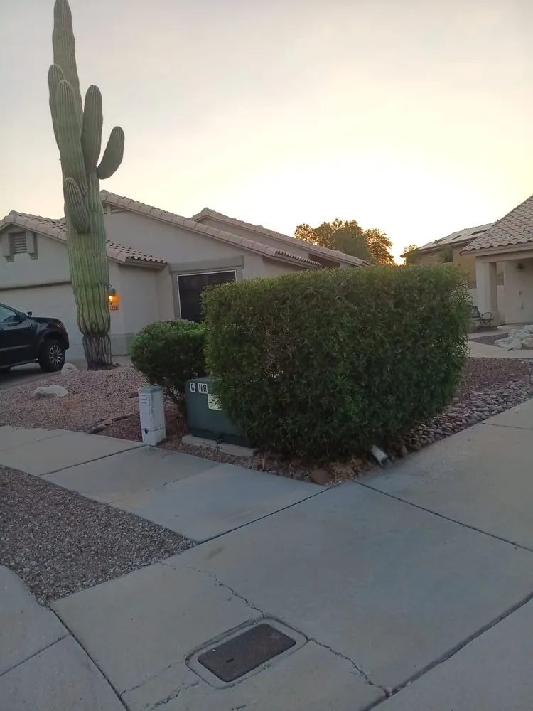 Affordable residential landscaping for year-round maintenance in Tucson, AZ by Ap Landscaping