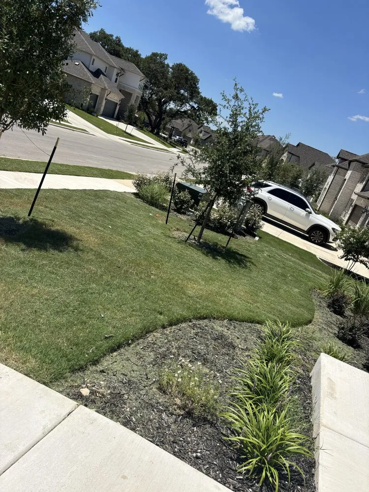 Local residential landscaping for year-round maintenance in Buda, TX by Ap Lawn Care