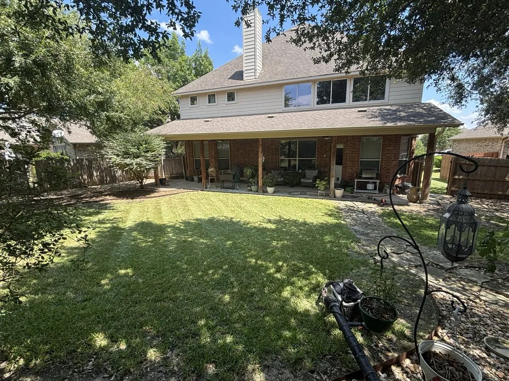 Trusted yard cleanup service in Buda, TX by Ap Lawn Care