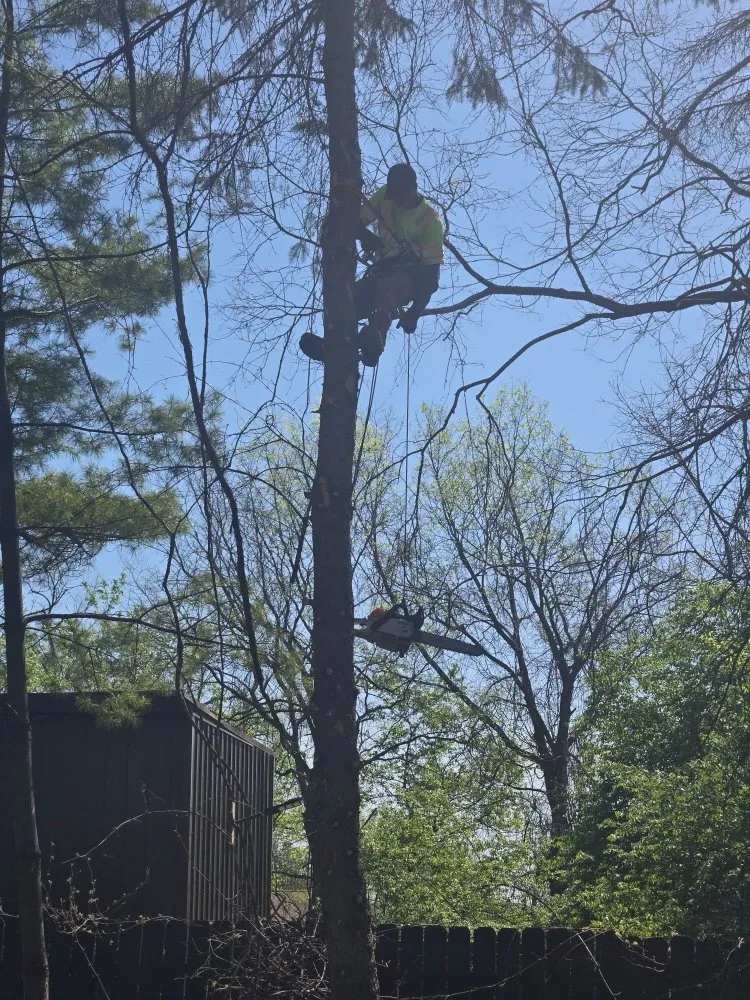 Local garden landscaping for year-round maintenance in Columbus, OH by AP Lawn Care Service