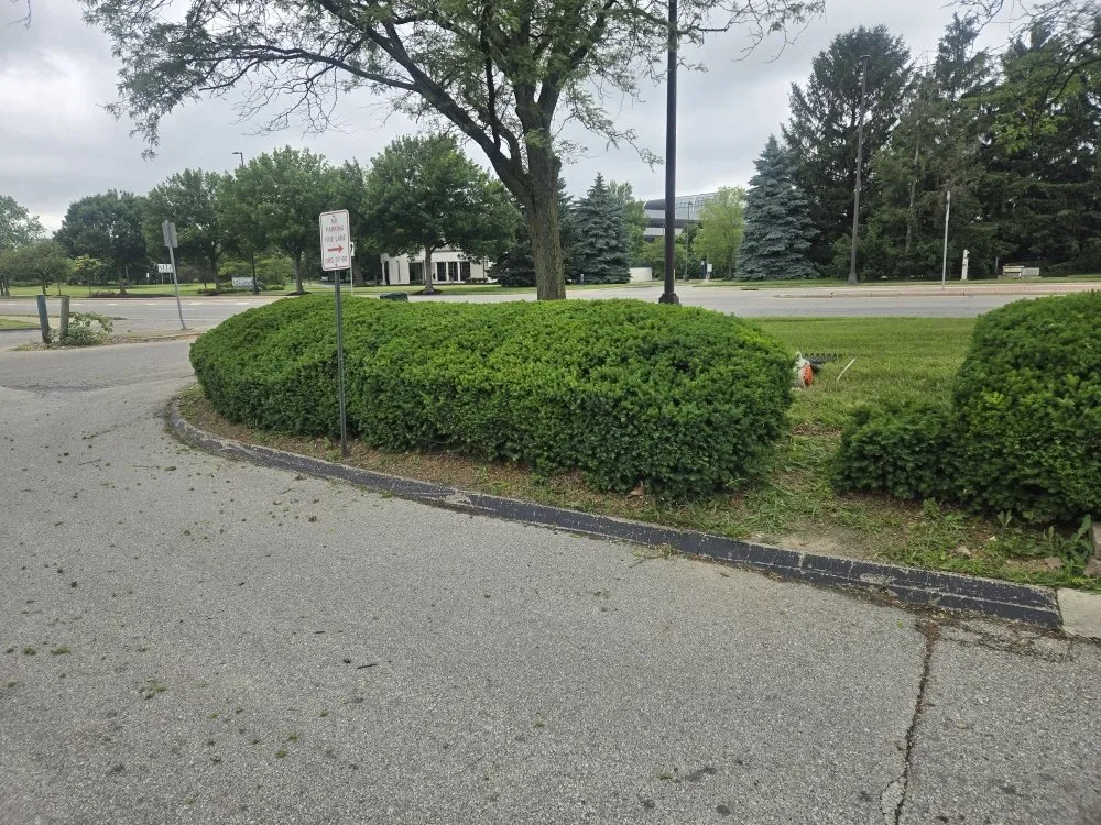 Professional landscape installation for homes in Columbus, OH by AP Lawn Care Service