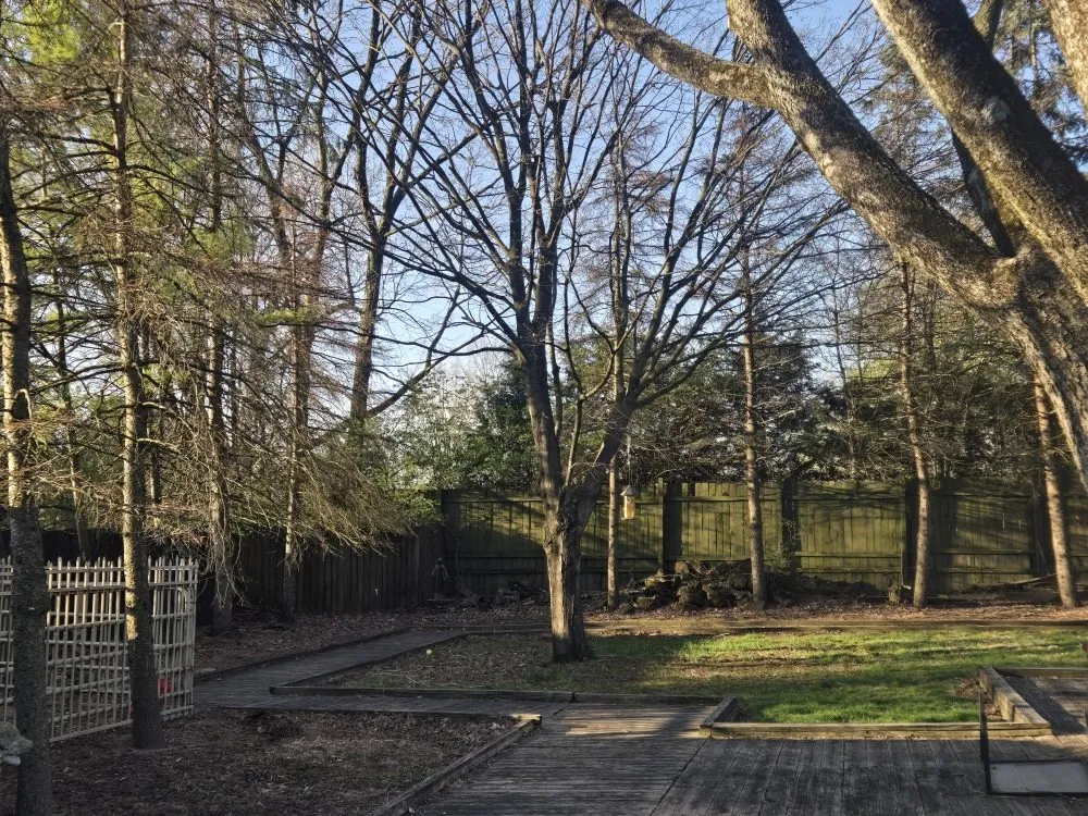 Trusted lawn care service in Columbus, OH - AP Lawn Care Service