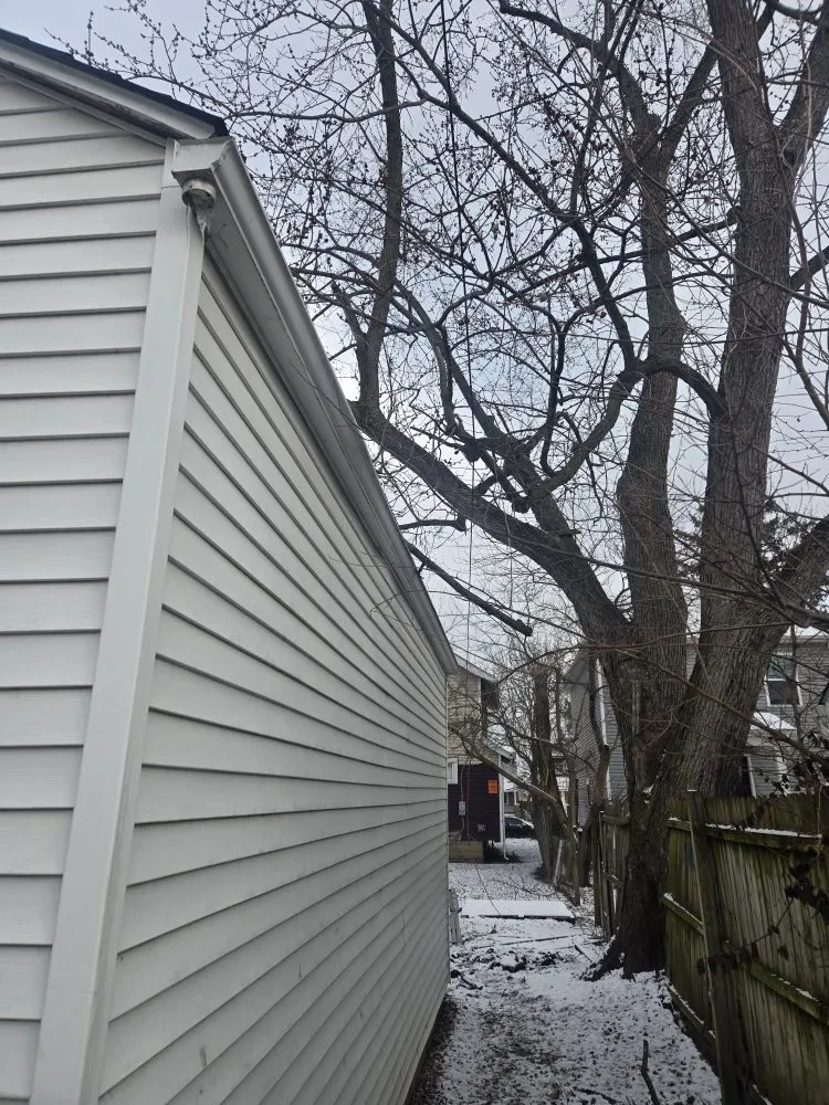 Top-rated yard cleanup service in Columbus, OH - AP Lawn Care Service