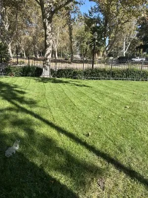 AP Lawn Care Services Logo