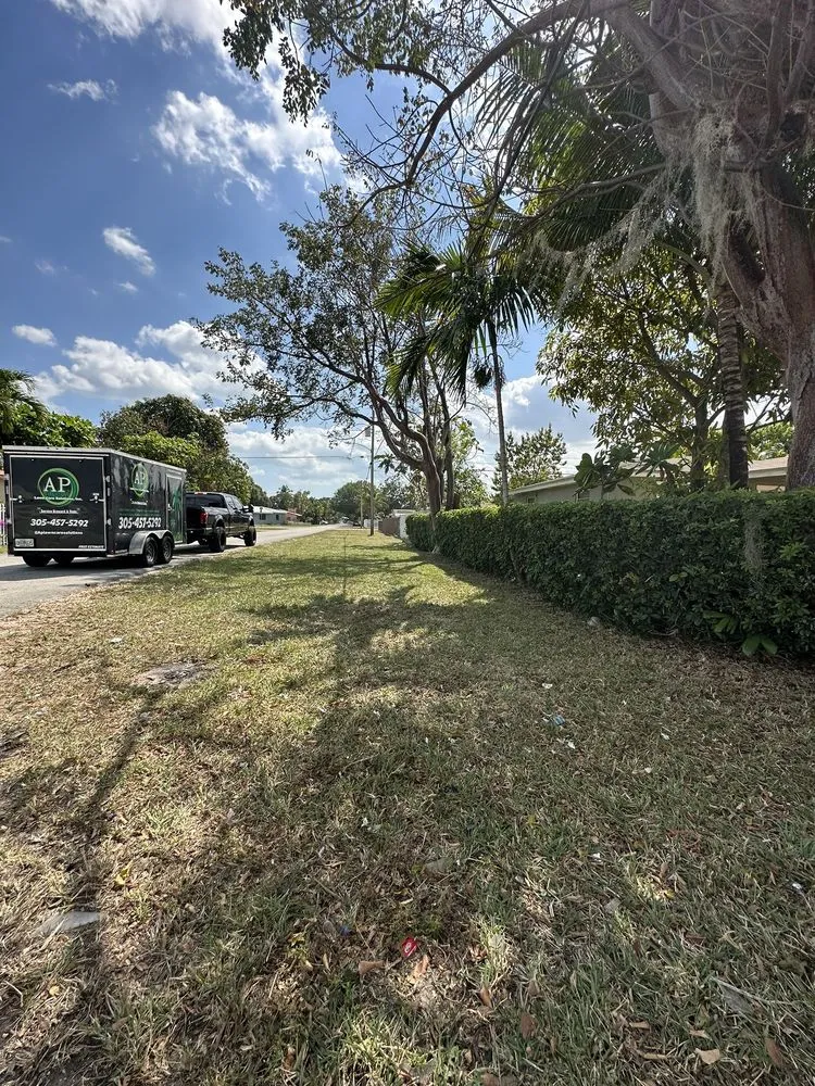 Expert yard maintenance for beautiful yards across Hialeah, FL - AP Lawn Care Solutions