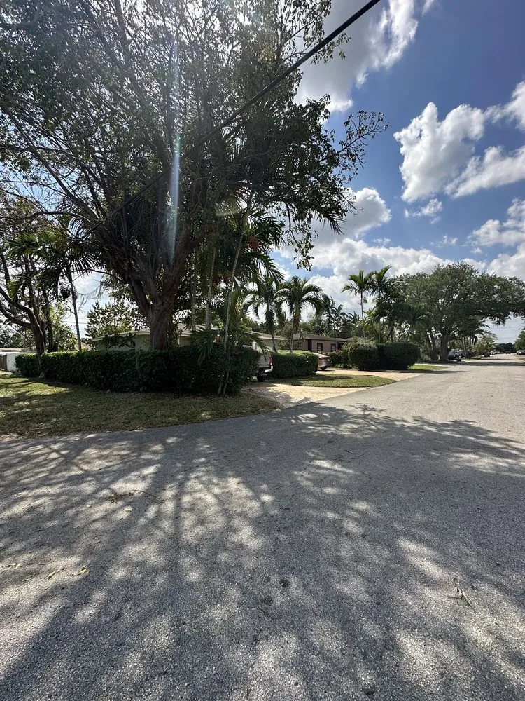 Expert landscape design experts serving Hialeah, FL - AP Lawn Care Solutions