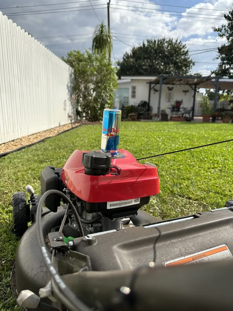 Affordable lawn mowing service experts serving Hialeah, FL - AP Lawn Care Solutions