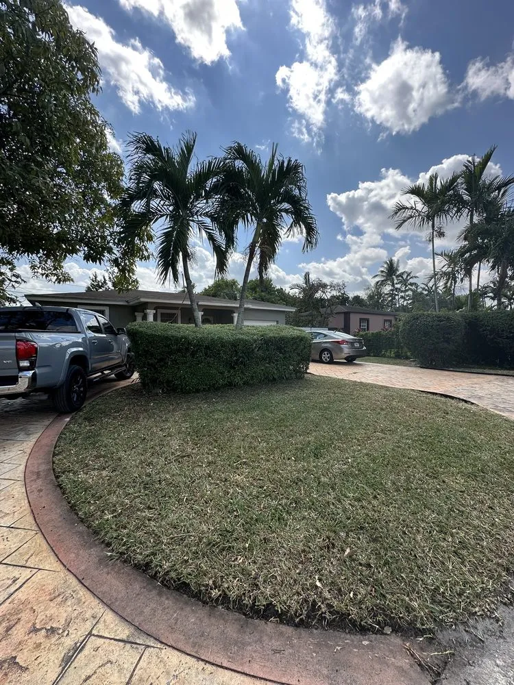 Affordable outdoor landscaping in Hialeah, FL - AP Lawn Care Solutions