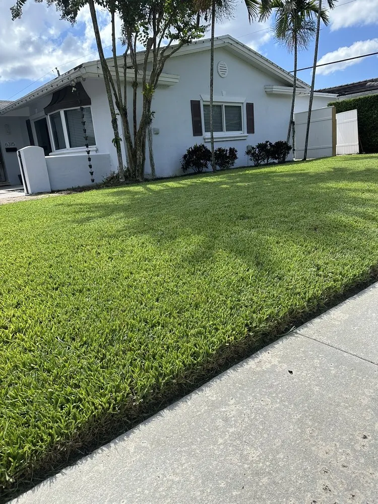 Top-rated outdoor landscaping for residential properties across Hialeah, FL - AP Lawn Care Solutions