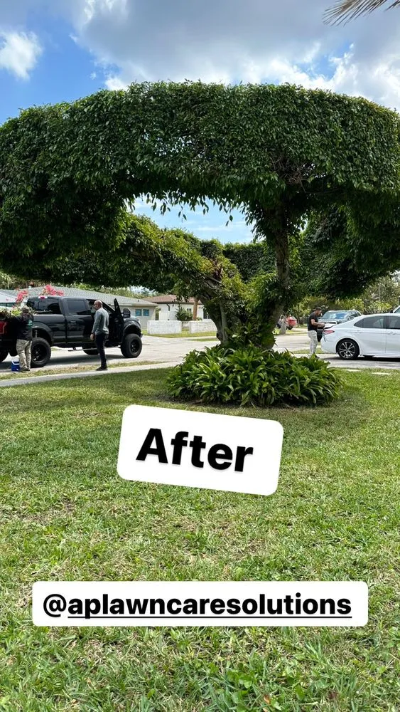 Professional garden landscaping experts serving Hialeah, FL - AP Lawn Care Solutions