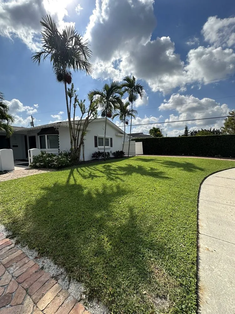 Trusted landscape design for year-round maintenance across Hialeah, FL - AP Lawn Care Solutions