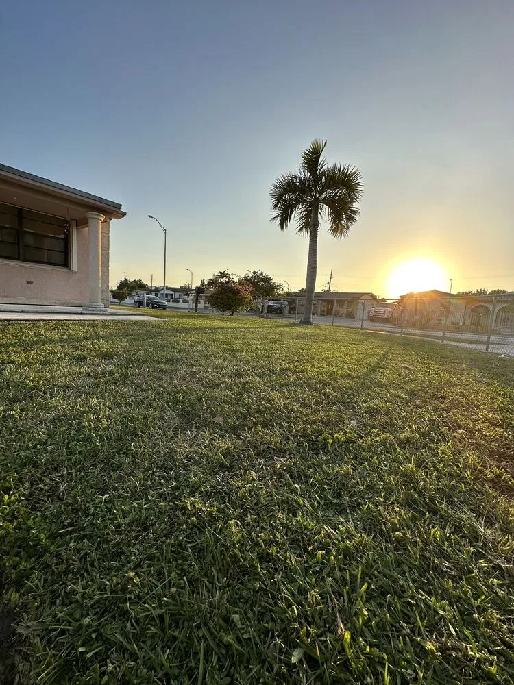 Expert landscape design with custom design in Hialeah, FL by AP Lawn Care Solutions