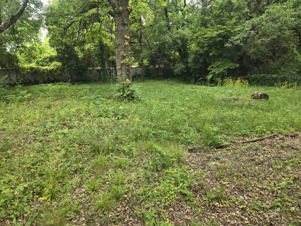 Reliable landscape design in Mansfield, TX - A&P Lawn