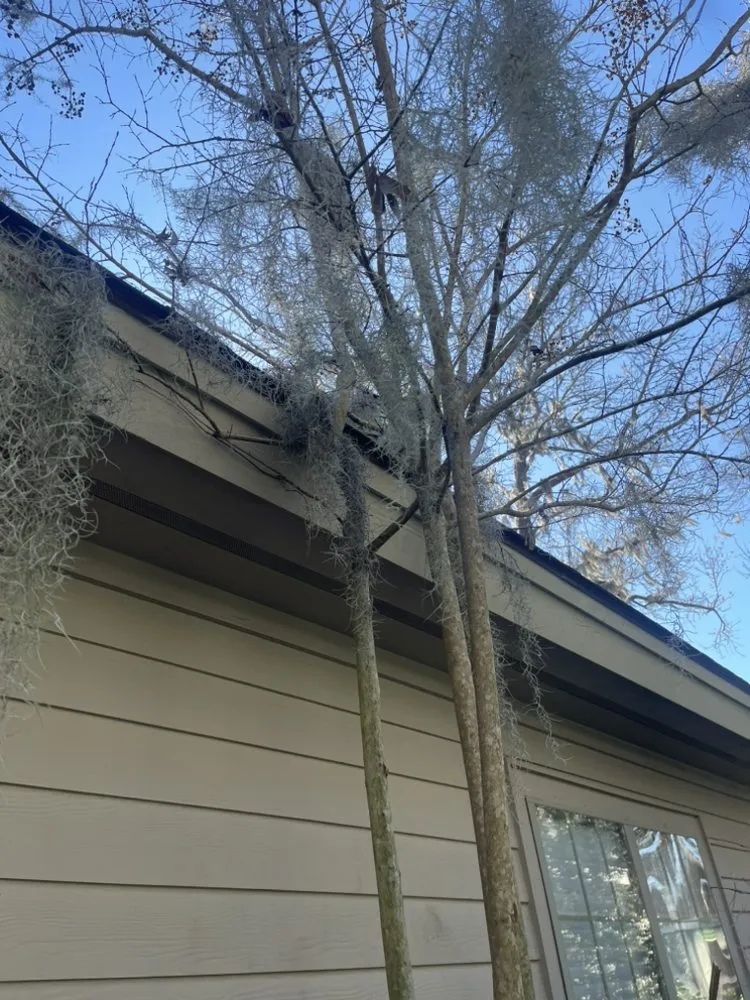 Top-rated lawn care service experts serving Hilton Head Island, SC - AP Lawn Service & Junk Removal