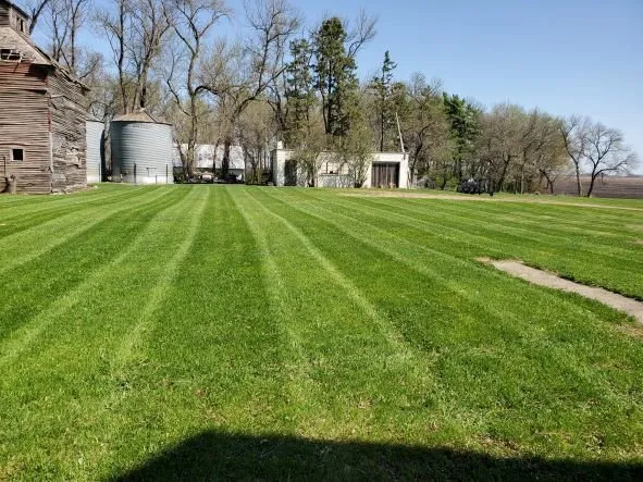 Top-rated lawn care service experts serving Gibbon, MN - AP Lawn Service