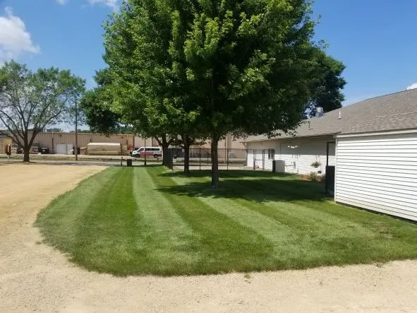 Top-rated yard cleanup service in Gibbon, MN by AP Lawn Service