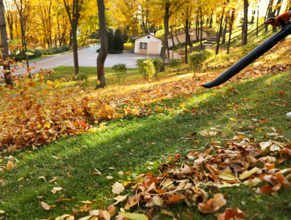 Trusted residential landscaping experts serving Coweta, OK - AP Lawn Services