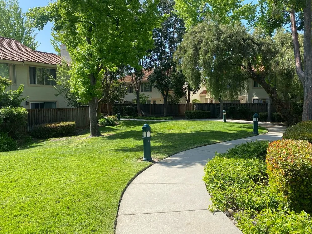 Professional outdoor landscaping in San Jose, CA by AP Neta Landscaping