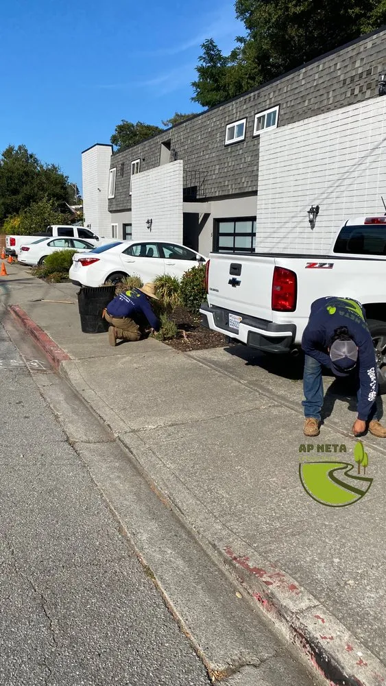 Professional residential landscaping for beautiful yards across San Jose, CA - AP Neta Landscaping