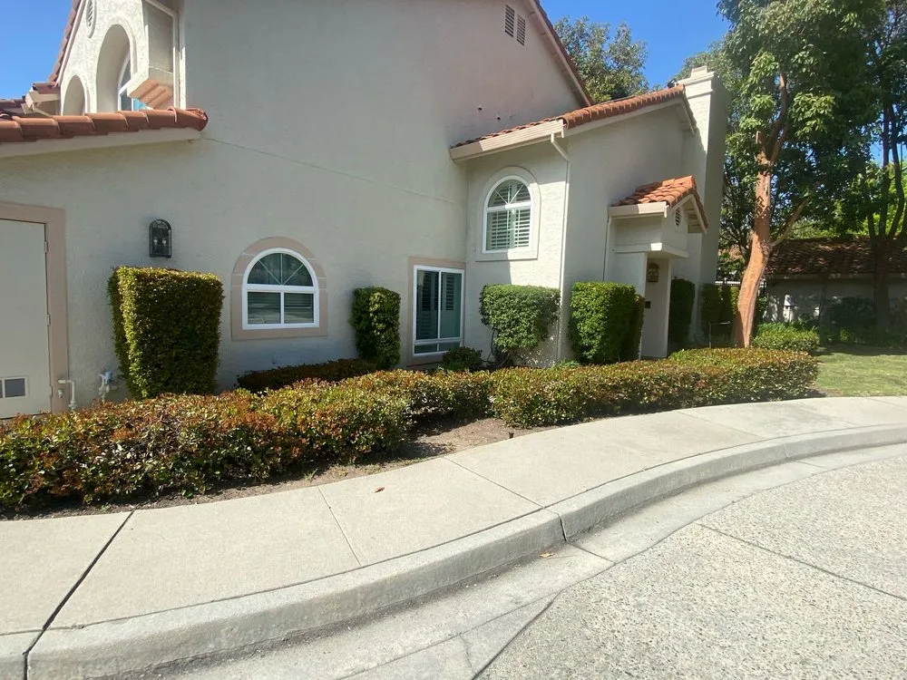 Custom yard cleanup service for year-round maintenance in San Jose, CA by AP Neta Landscaping