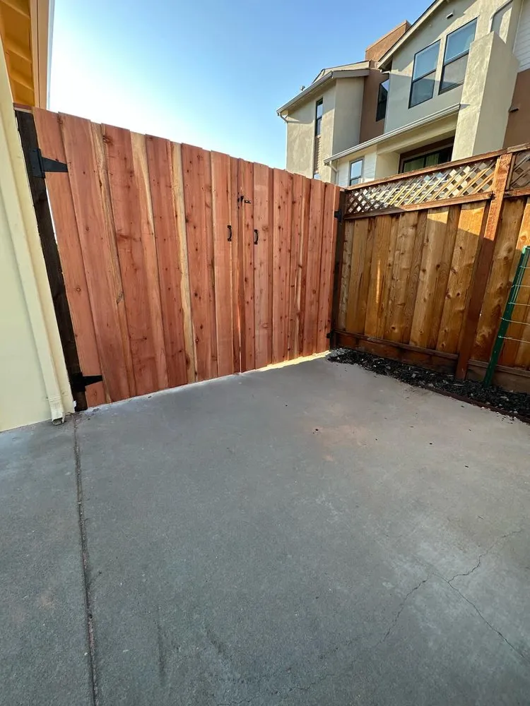 Top-rated yard cleanup service experts serving San Jose, CA - AP Neta Landscaping
