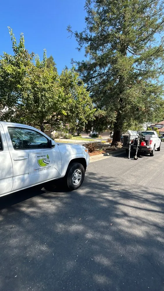Custom residential landscaping near you in San Jose, CA by AP Neta Landscaping