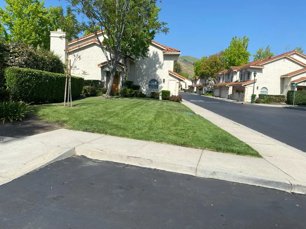 Custom landscape design in San Jose, CA by AP Neta Landscaping