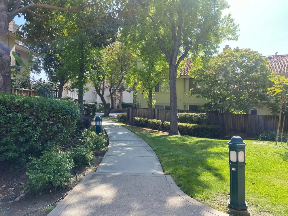 Affordable landscaping services in San Jose, CA by AP Neta Landscaping