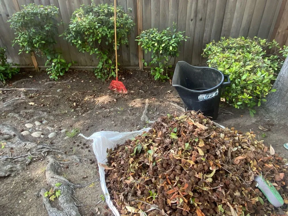 Reliable residential landscaping near you across San Jose, CA - AP Neta Landscaping