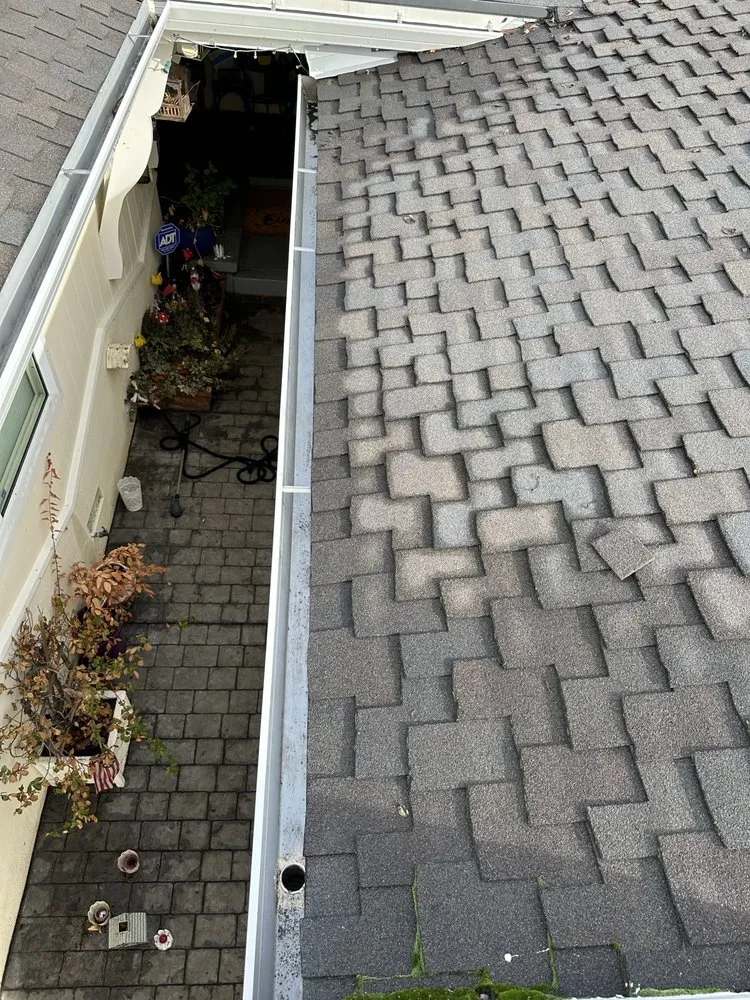 Professional lawn care service experts serving San Jose, CA - AP Neta Landscaping