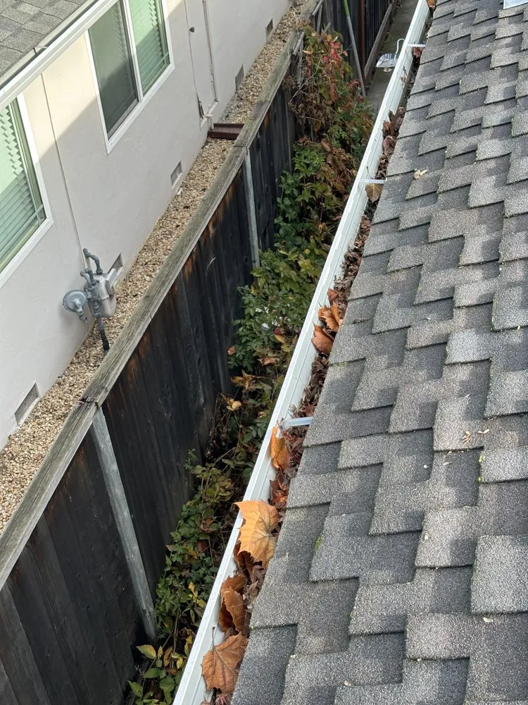 Expert lawn mowing service in San Jose, CA by AP Neta Landscaping