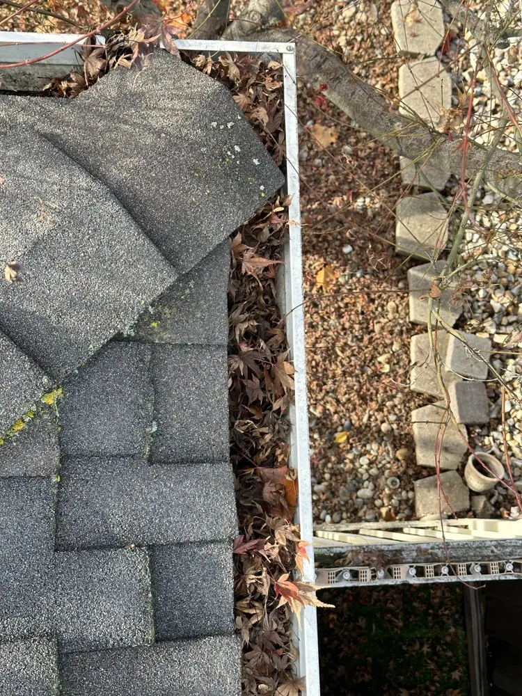 Expert garden landscaping in San Jose, CA by AP Neta Landscaping