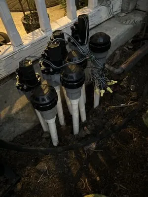 AP Neta Landscaping Logo