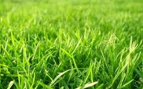 Trusted lawn mowing service in Idaho Falls, ID - A&P Sprinklers
