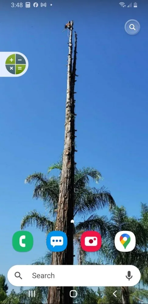 Expert yard maintenance in Rancho Cordova, CA by Apache Landscaping and Tree Care