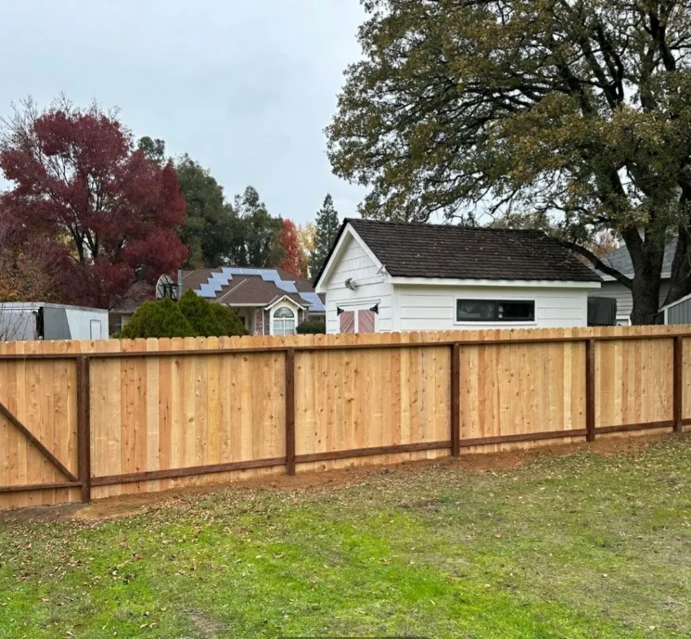 Top-rated yard cleanup service for year-round maintenance in Rancho Cordova, CA by Apache Landscaping and Tree Care