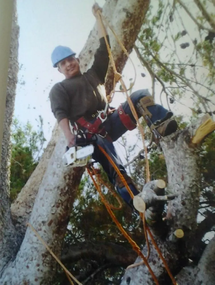 Professional garden landscaping in Rancho Cordova, CA - Apache Landscaping and Tree Care