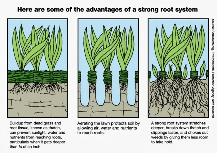 Custom landscape installation for year-round maintenance across Steger, IL - Apache Landscaping