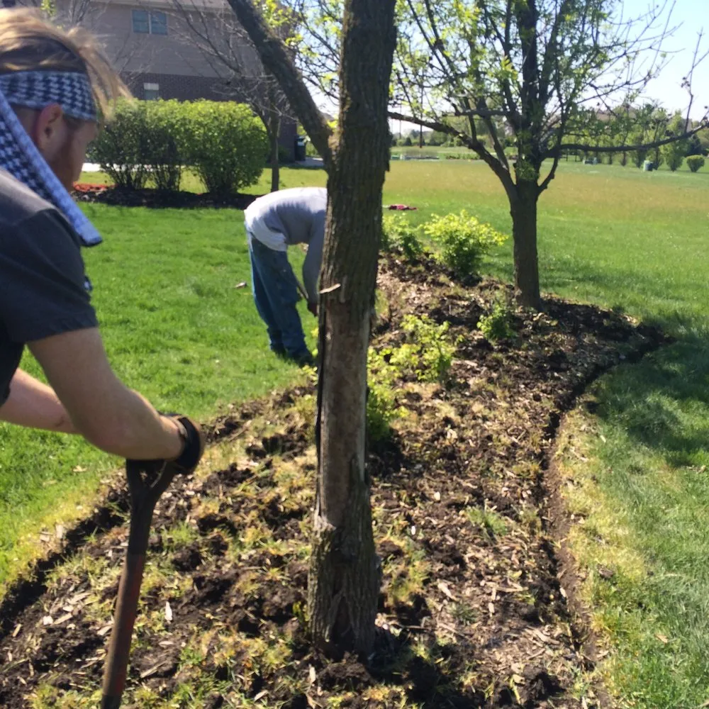 Custom lawn mowing service in Steger, IL by Apache Landscaping