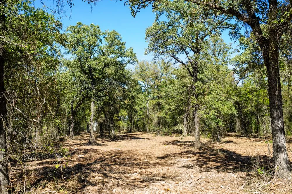 Top-rated yard maintenance for year-round maintenance across Robinson, TX - Apache Mulching